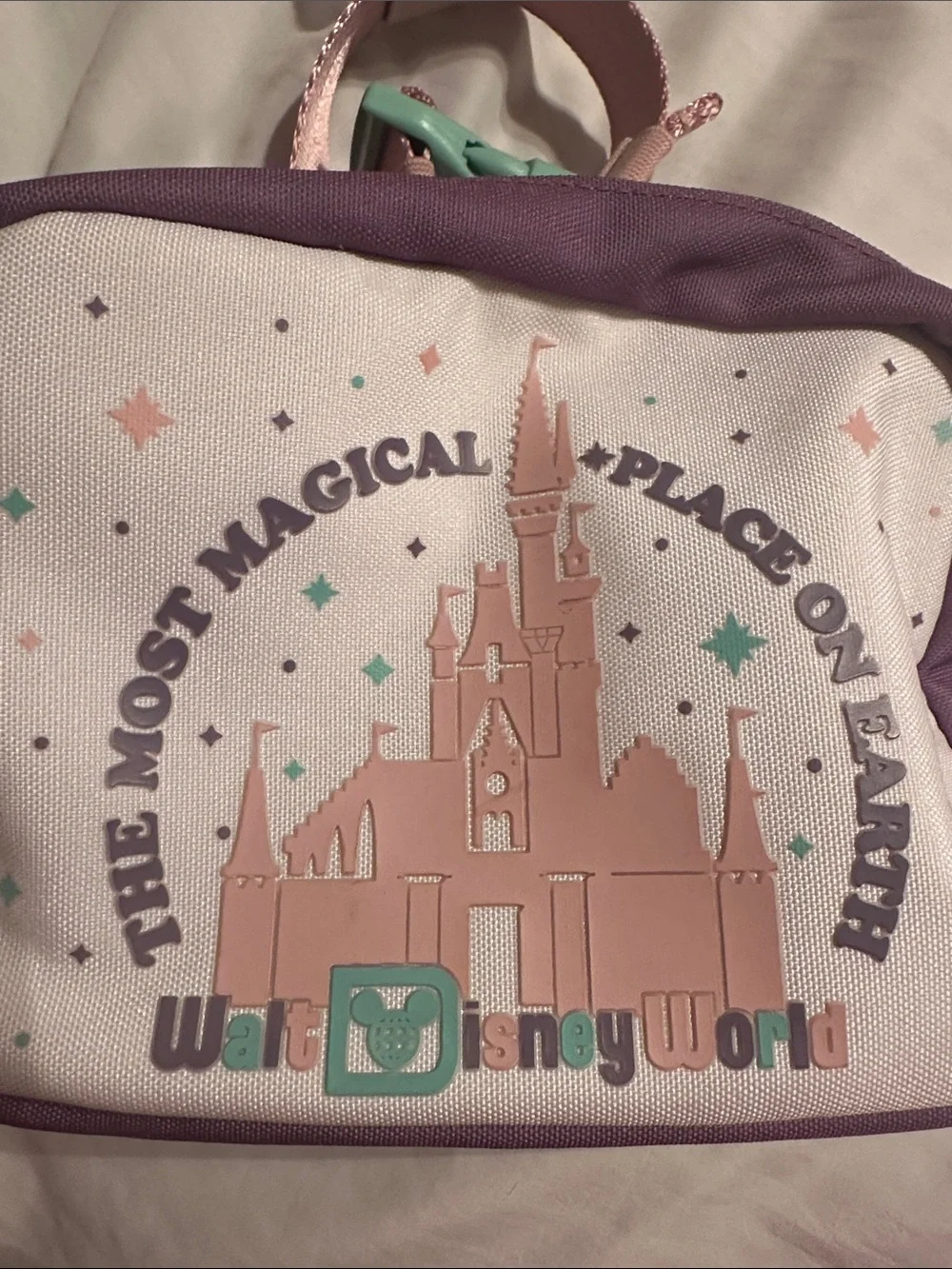 Pink & Purple Disney World Crossbody Bag